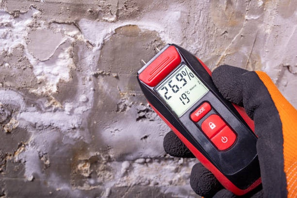 Best Mold Removal Specialists  in Frankston, TX
