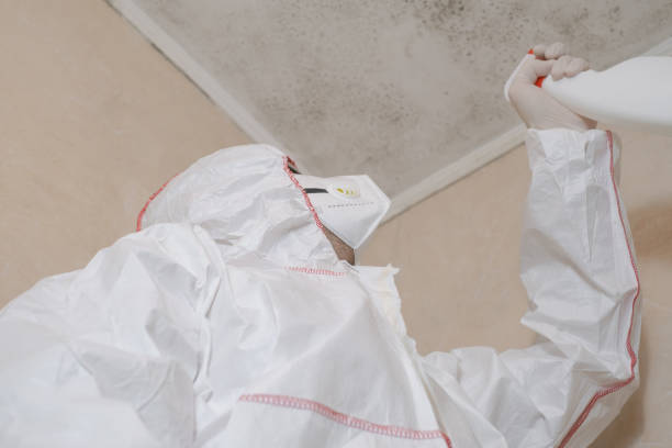 Certified Mold Removal in Frankston, TX