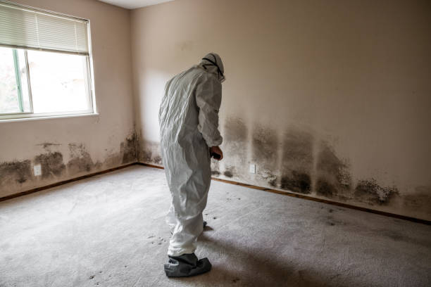 Best Crawl Space Mold Removal  in Frankston, TX