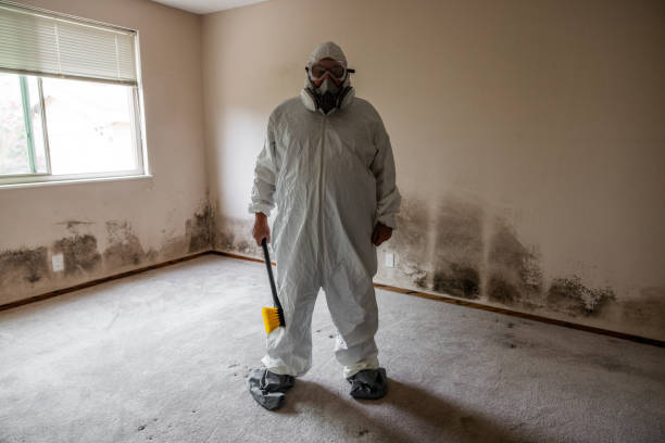 Best Residential Mold Removal  in Frankston, TX